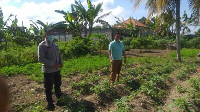 Polri Dukung Ketahanan Pangan Nasional Bhabinkamtibmas Jagaraga Ajak Petani Manfaatkan Lahan Produktif