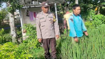 Polri Perkuat Swasembada Pangan di Desa Montong Are