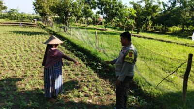 Polri di Lombok Barat Galakkan Ketahanan Pangan Skala Rumah Tangga