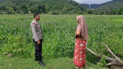 Polsek Lembar Dukung Ketahanan Pangan Lewat Sambang Petani di Sekotong Timur