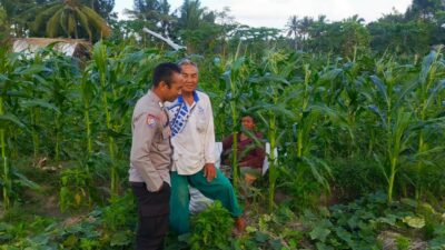 Sinergi Polisi dan Petani Wujudkan Ketahanan Pangan di Kuripan Utara