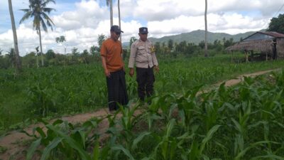 Pendekatan DDS Jadi Strategi Polri Bangun Kamtibmas Pertanian