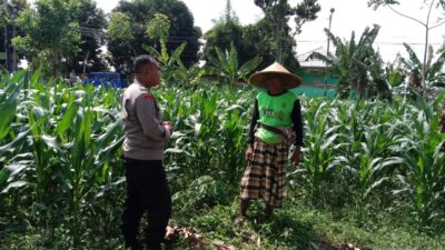 Dukung Ketahanan Pangan, Polisi Ajak Petani Manfaatkan Lahan Kosong