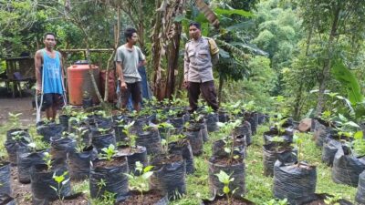 Sinergi Polri dan Warga Batulayar untuk Pekarangan Bergizi