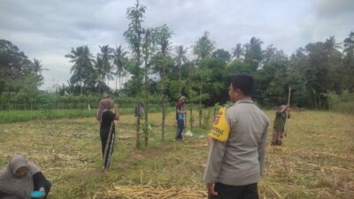Ketahanan Pangan Banyumulek: Polisi Aktif Dampingi Petani Jagung