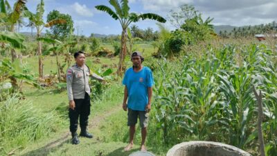 Perkuat Ketahanan Pangan, Polisi Bina Petani Jagung di Sekotong