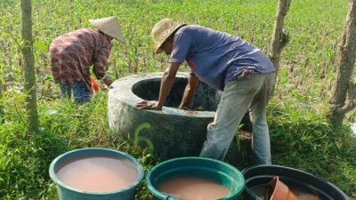 Polsek Gerung Perkuat Ketahanan Pangan Lewat Pendampingan Petani di Babussalam