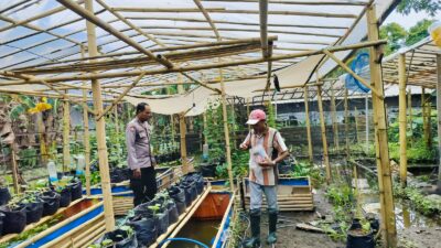 Bhabinkamtibmas Desa Bajur Dorong Kemandirian Pangan Warga Tempit