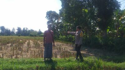 Bhabinkamtibmas Desa Jagaraga Dorong Kemandirian Pangan dari Pekarangan Warga