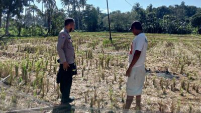 Polri dan Warga Kuripan Bangun Ketahanan Pangan dari Rumah
