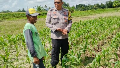 Bhabinkamtibmas Telagawaru Dorong Ketahanan Pangan Warga Paok Kambut