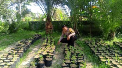 Bhabinkamtibmas Terong Tawah Dorong Ketahanan Pangan Lewat Pemanfaatan Pekarangan