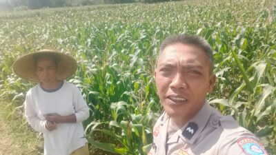 Dukungan Polri di Eyat Mayang, Petani Jagung Tak Sendiri
