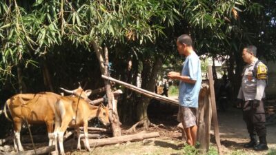 Ketahanan Pangan Berbasis Komunitas di Dusun Melase