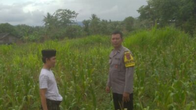 Ketahanan Pangan dan Keamanan Diperkuat di Sekotong Tengah Lewat DDS Bhabinkamtibmas