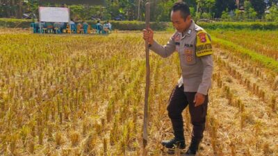 Kunjungan Bhabinkamtibmas Kuripan Utara, Ajak Petani Dukung Ketahanan Pangan Nasional