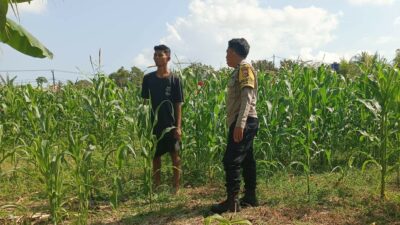Polisi Desa Cendi Manik Dorong Ketahanan Pangan Lewat Pendampingan Petani Sekotong