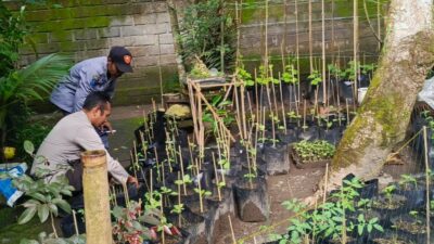 Polri Dorong Ketahanan Pangan dari Pekarangan Warga Kuripan Utara