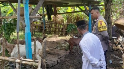 Polsek Batulayar Dorong Ketahanan Pangan Warga Senggigi melalui Edukasi Pertanian