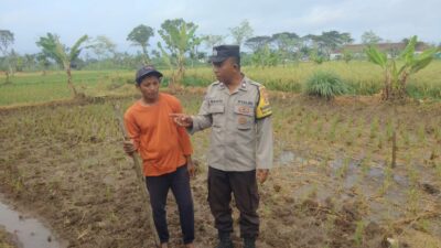 Polsek Kediri Aktif Pantau Ketahanan Pangan dan Lingkungan di Tengah Cuaca Ekstrem