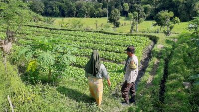 Polsek Kediri Dorong Ketahanan Pangan Warga Montong Are