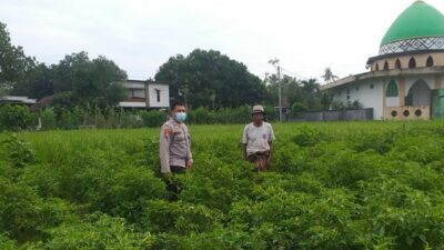 Polsek Kuripan Perkuat Ketahanan Pangan Warga lewat Pendampingan Aktif