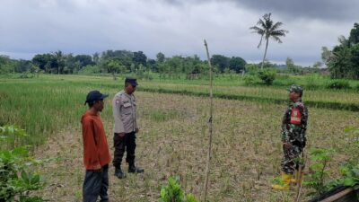 Sinergi Polisi dan Petani di Dusun Nyiur Gasing Dukung Ketahanan Pangan
