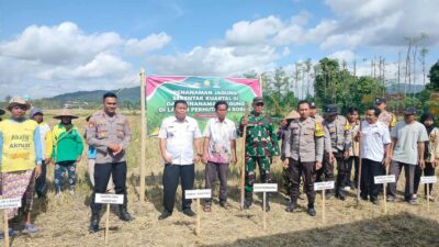 Sinergi Polri, TNI, dan Warga Dukung Swasembada Pangan di Jagaraga, Kuripan