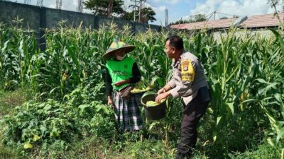 Polsek Labuapi Edukasi Warga Desa Jerneng untuk Tanam Sayur