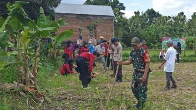 Sinergi Polsek Batulayar dan Warga Sandik Tanam Jagung Dukung Ketahanan Pangan