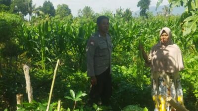 Pendekatan Humanis Polri di Sawah Karang Kuripan: Wujudkan Pangan Aman