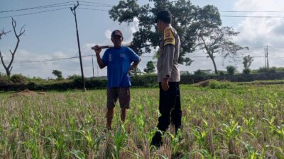 Pekarangan Jadi Lumbung Keluarga: Polri dan Warga Desa Kuripan Wujudkan Pangan Tangguh