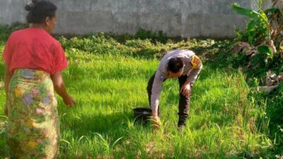 Polri di Lombok Barat Gencarkan Pemanfaatan Lahan Tidur untuk Ketahanan Pangan