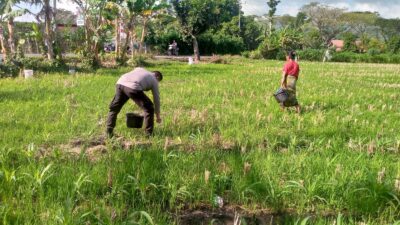 Dukung Ketahanan Pangan, Bhabinkamtibmas Kuripan Ajak Warga Manfaatkan Lahan Produktif