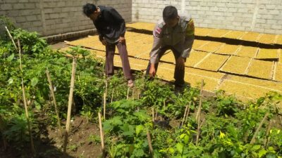 Inisiatif Humanis Polri di Sekotong Tengah, Edukasi Pangan dari Pekarangan Rumah