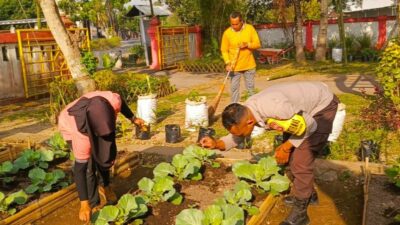 Jaga Ketahanan Pangan, Bhabinkamtibmas Kuripan Gelar Sosialisasi Pemanfaatan Lahan Produktif