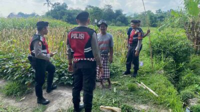 Polisi Lakukan Patroli Tanam Jagung di Dusun Kelebut untuk Dukung Swasembada Pangan
