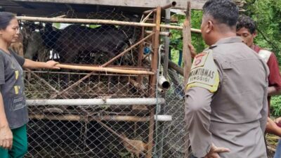 Sinergi Polisi dan Warga Krandangan: Optimalkan Lahan Kosong Jadi Sumber Pangan