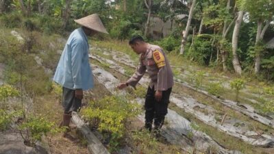 Polsek Labuapi Ajak Warga Desa Kuranji Wujudkan Kemandirian Pangan Lewat Pertanian Pekarangan