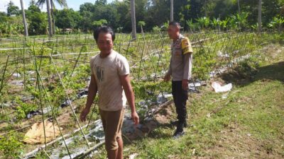 Polsek Sekotong Ajak Petani Berdayakan Lahan Produktif di Dusun Berambang