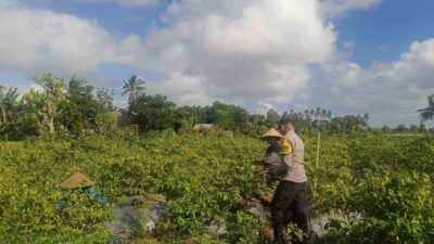 Sinergi Polri dan Warga Dusun Pelulan Wujudkan Ketahanan Pangan Keluarga