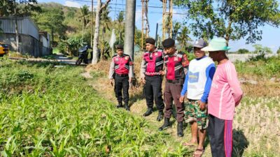 Polri Hadir Bantu Petani Jagung Wujudkan Swasembada di Lombok Barat