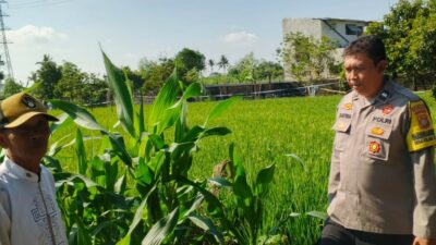 Bhabinkamtibmas Telagawaru Edukasi Petani Soal Lahan Pekarangan Bergizi