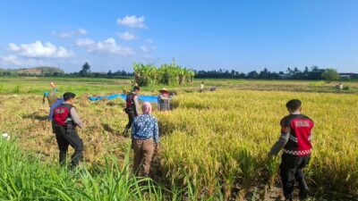 Polri Berperan Aktif Jaga Ketahanan Pangan: Personel Samapta Polres Lombok Barat Patroli dan Beri Edukasi Petani