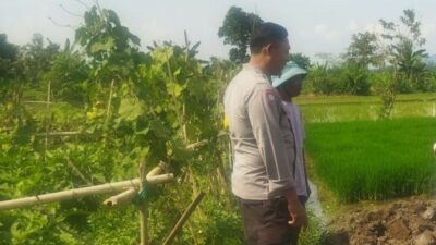 Polri Gerakkan Petani Lombok Barat Sukseskan Program Ketahanan Pangan Nasional