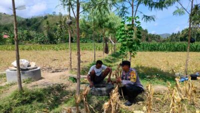 Dukung Ketahanan Pangan, Bhabinkamtibmas Lembar Beri Semangat Petani Jagung di Eyat Mayang