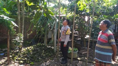 Polsek Kuripan Gandeng Warga Dusun Beremi Tingkatkan Kemandirian Pangan