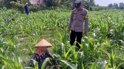 Sinergi Polisi dan Petani Bhabinkamtibmas Kuripan Galakkan Pemanfaatan Pekarangan Rumah