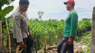 Sinergi Polsek Kediri dan Petani Banyumulek untuk Wujudkan Kemandirian Pangan