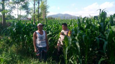 Kolaborasi Polsek Kuripan dan Petani Jagaraga Perkuat Stabilitas Pangan Desa